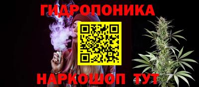 ГАЛЛЮЦИНОГЕННЫЕ ГРИБЫ Кинель