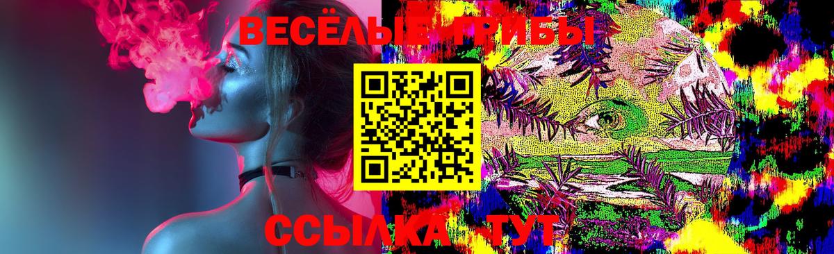 Псилоцибиновые грибы мицелий  Псилоцибиновые грибы Magic Shrooms  Вход с VPN  Корсаков 