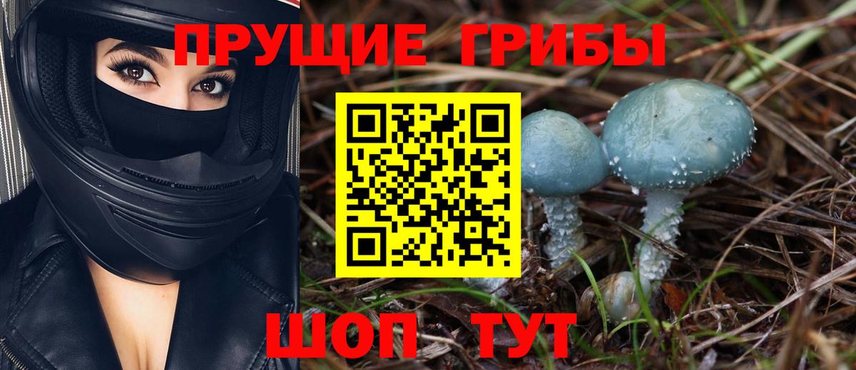 Псилоцибиновые грибы Magic Shrooms Корсаков